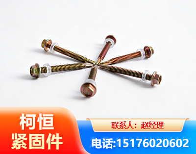 贺州六角钻尾丝